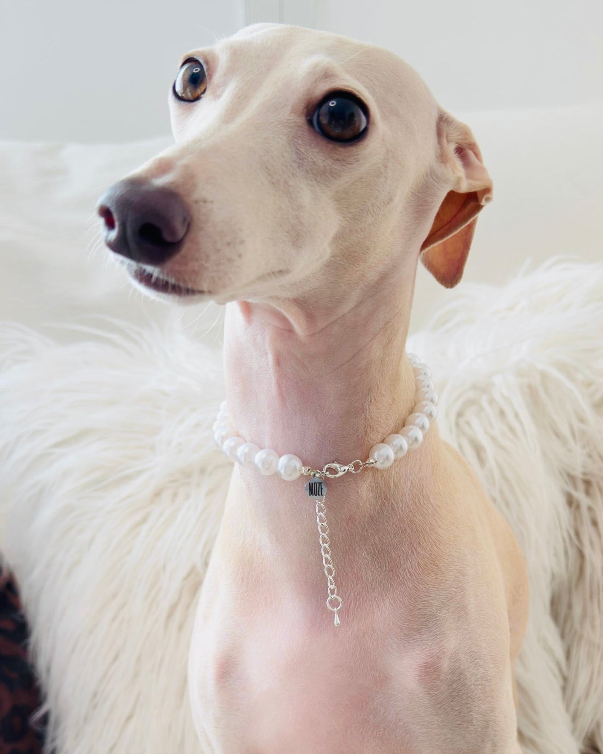 MOZE Pearl Necklace