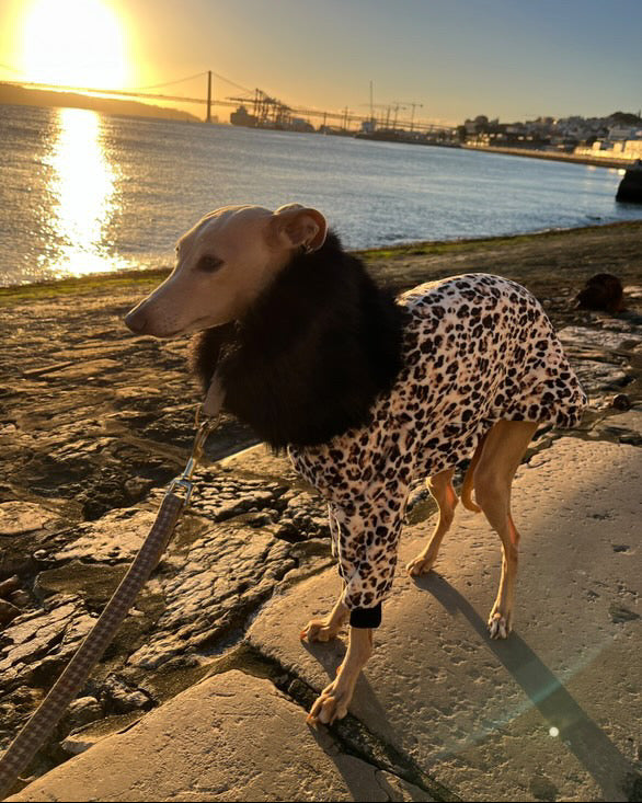 Leopard Print Sweater with Faux Fur Collar
