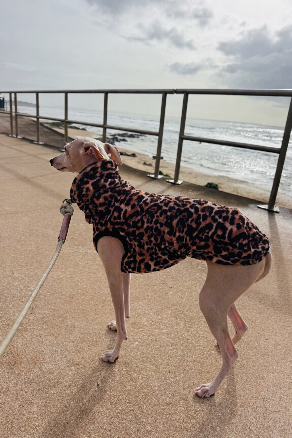 Leopard Print Polar Fleece Vest