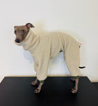 Latte Teddy Pajamas