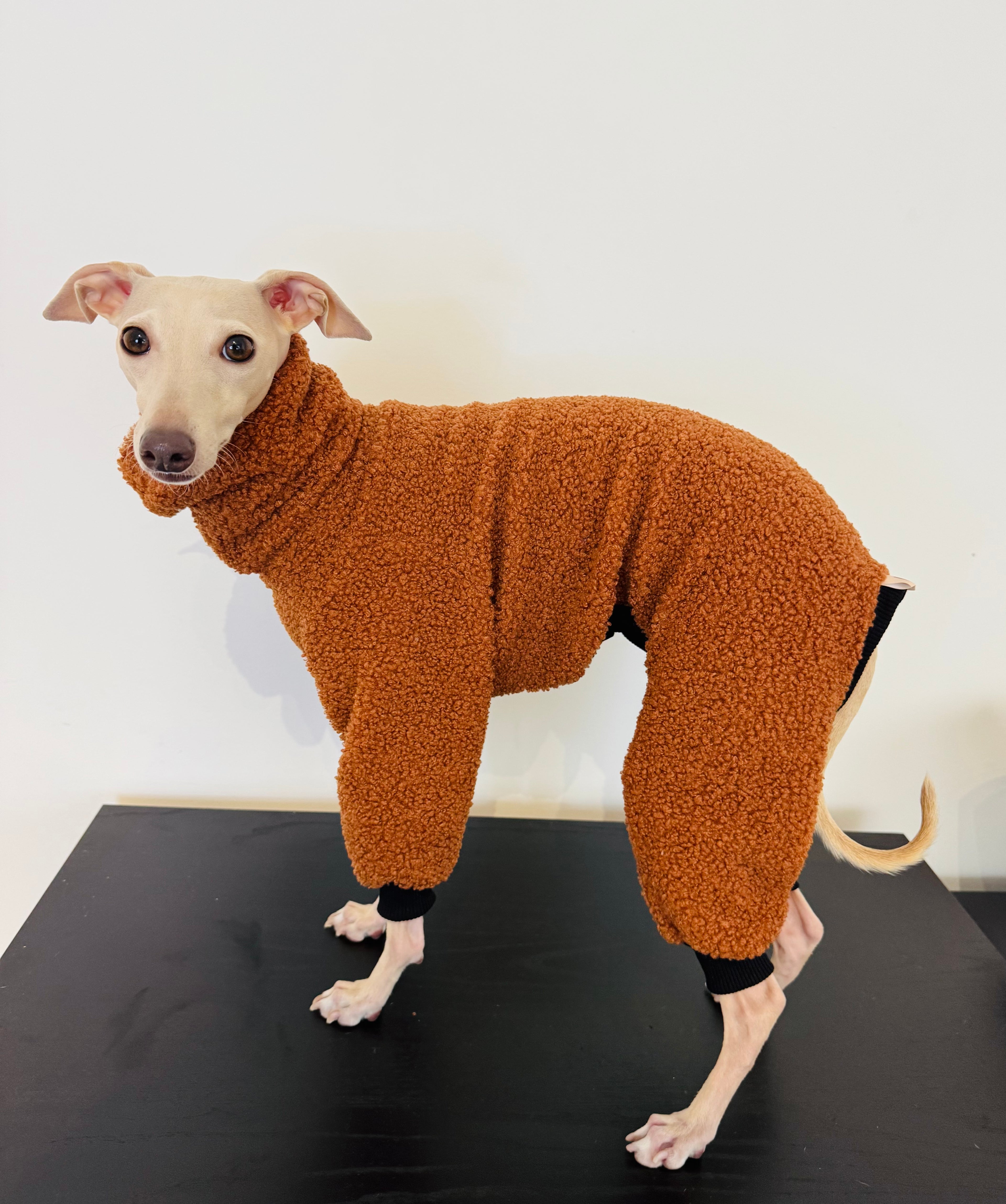 Cappuccino Teddy Pajamas