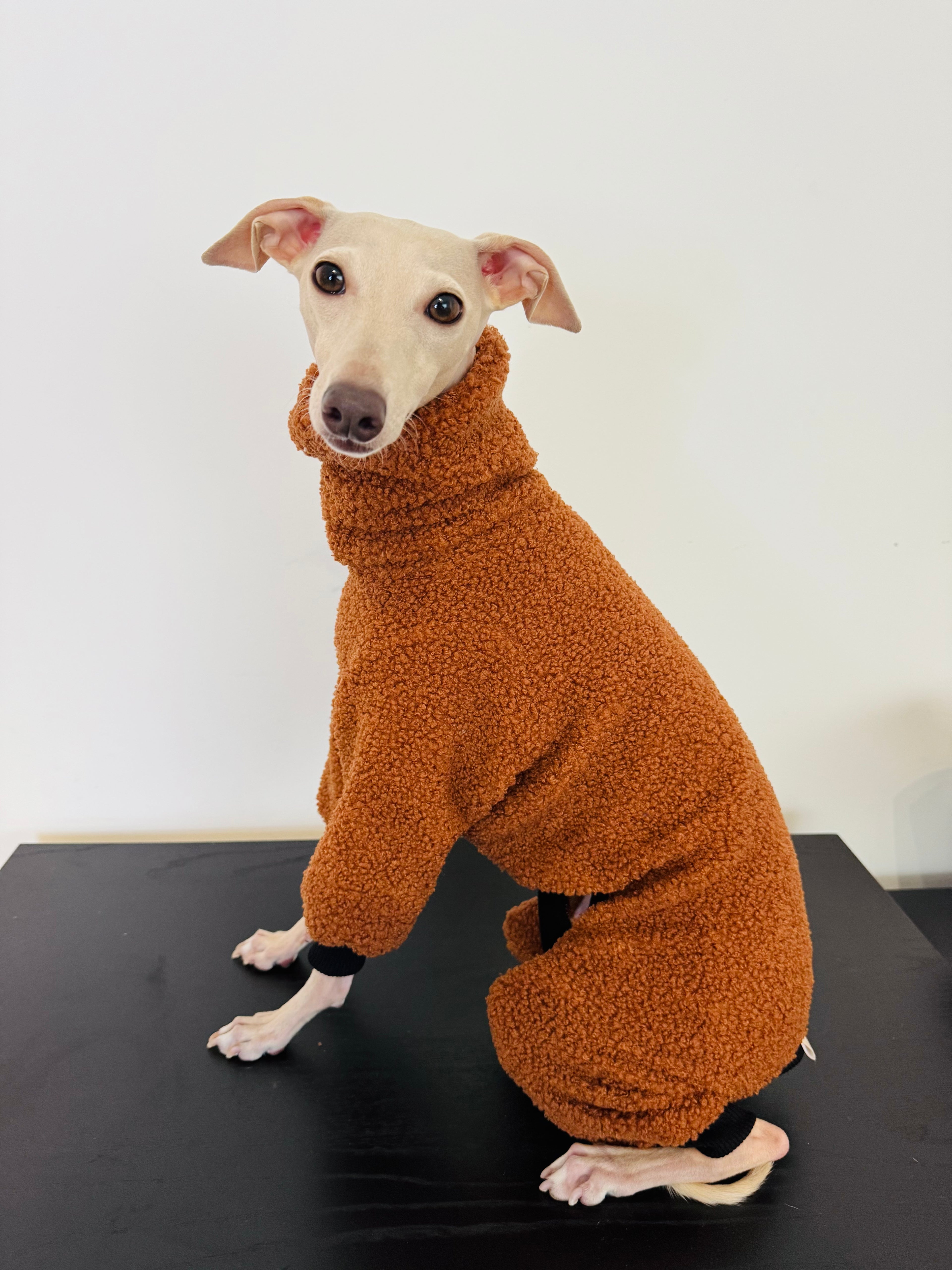 Cappuccino Teddy Pajamas