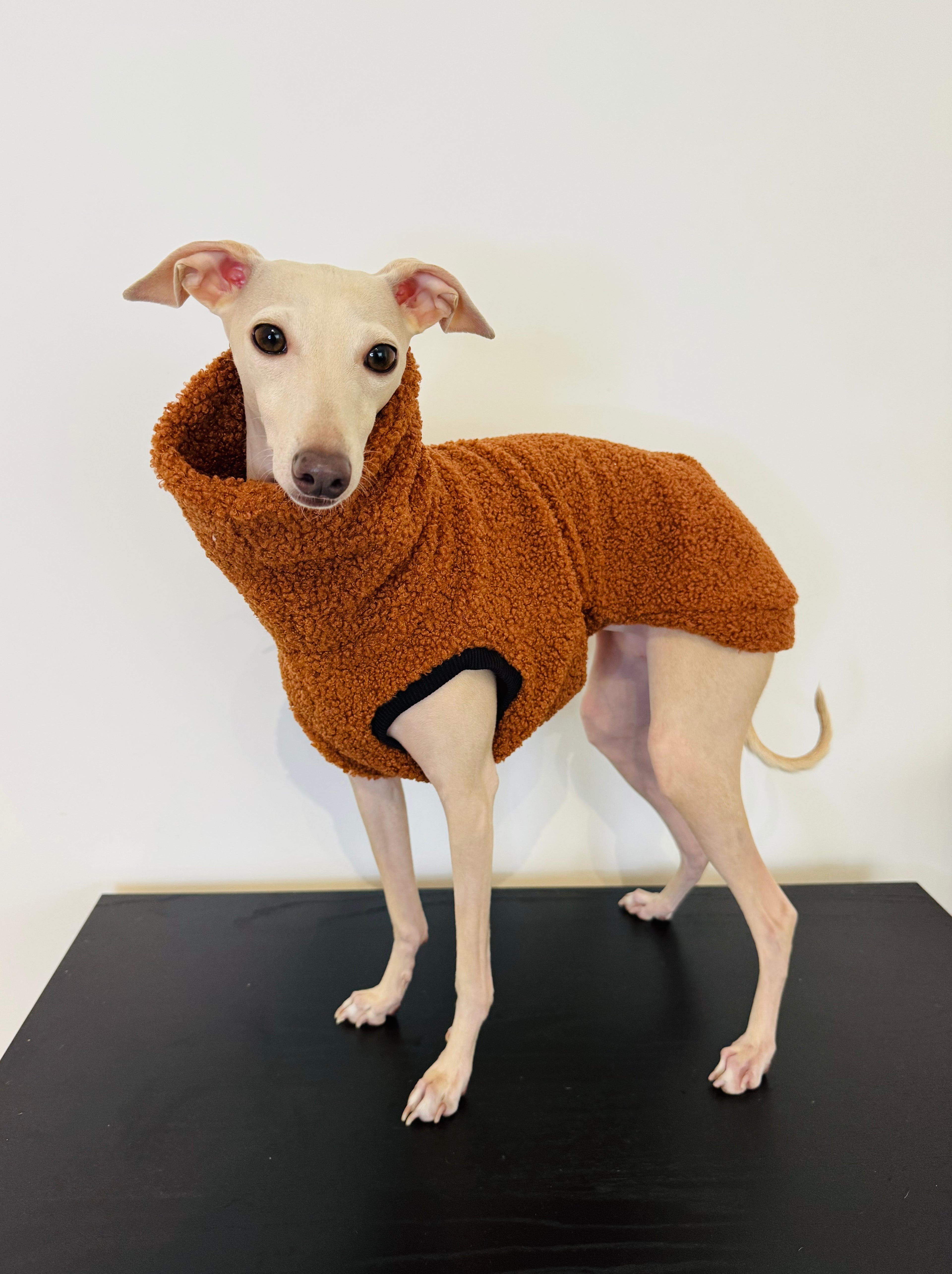 Capuccino Teddy Vest