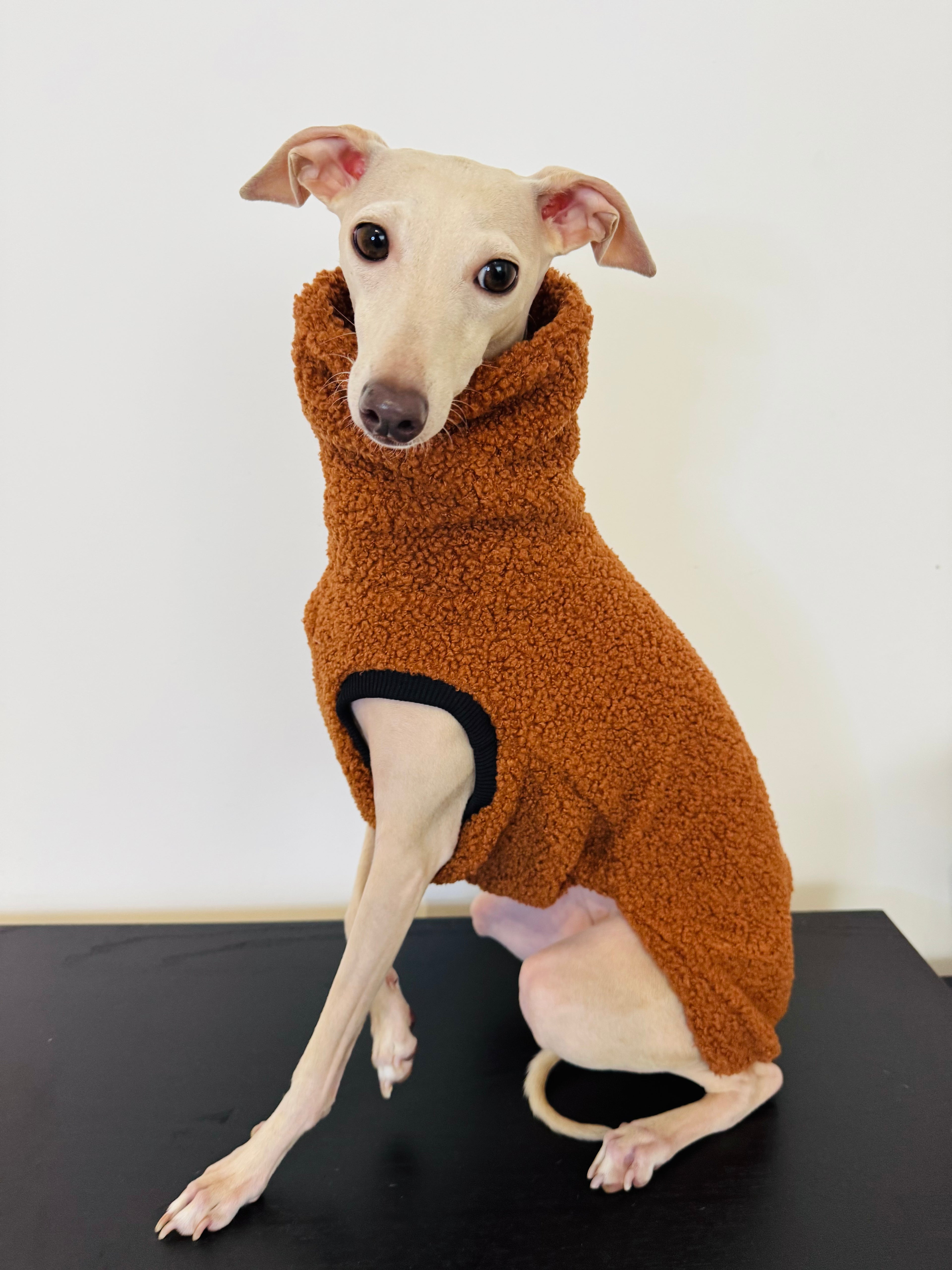 Capuccino Teddy Vest