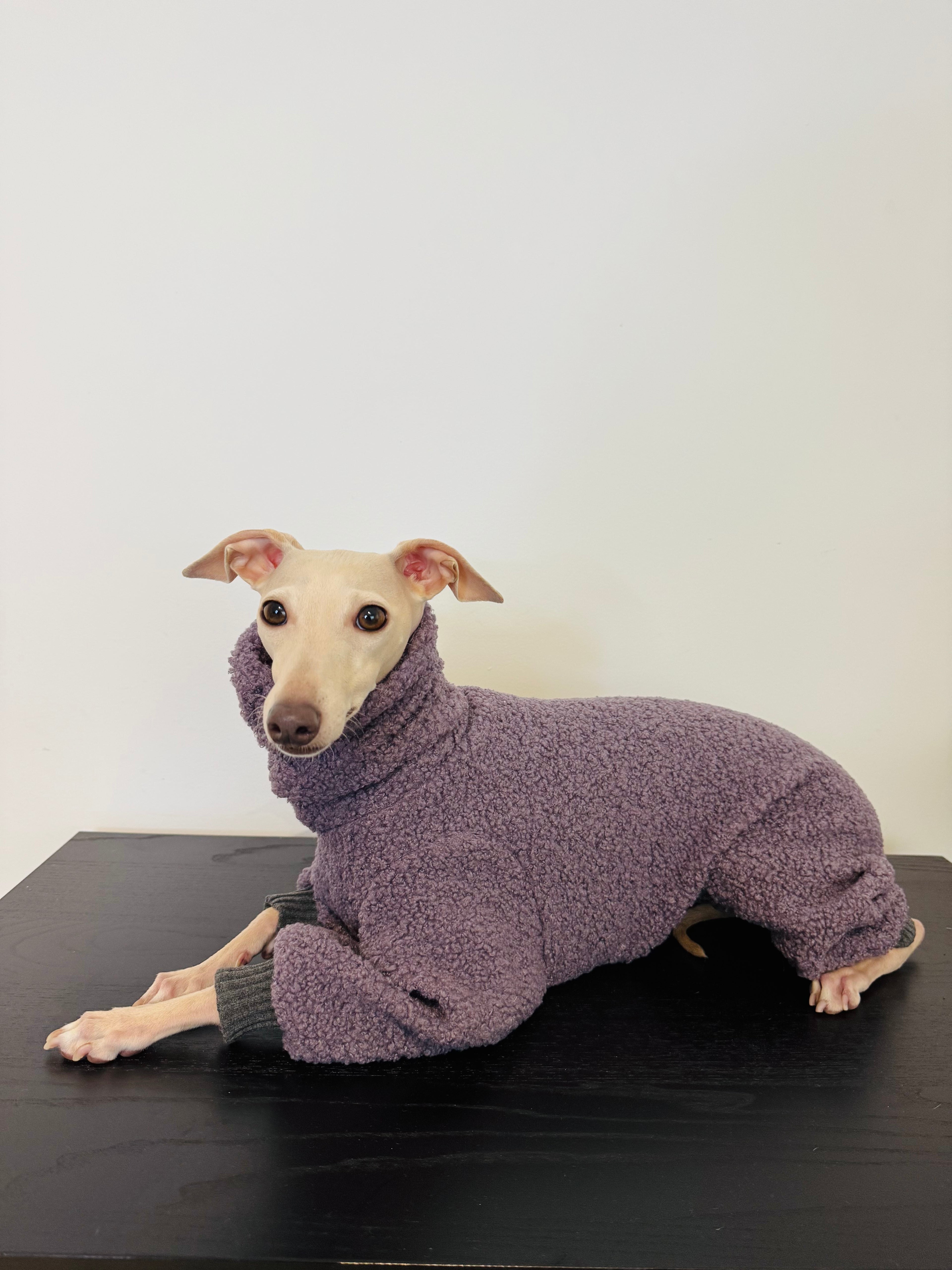 Grape Teddy Pajamas