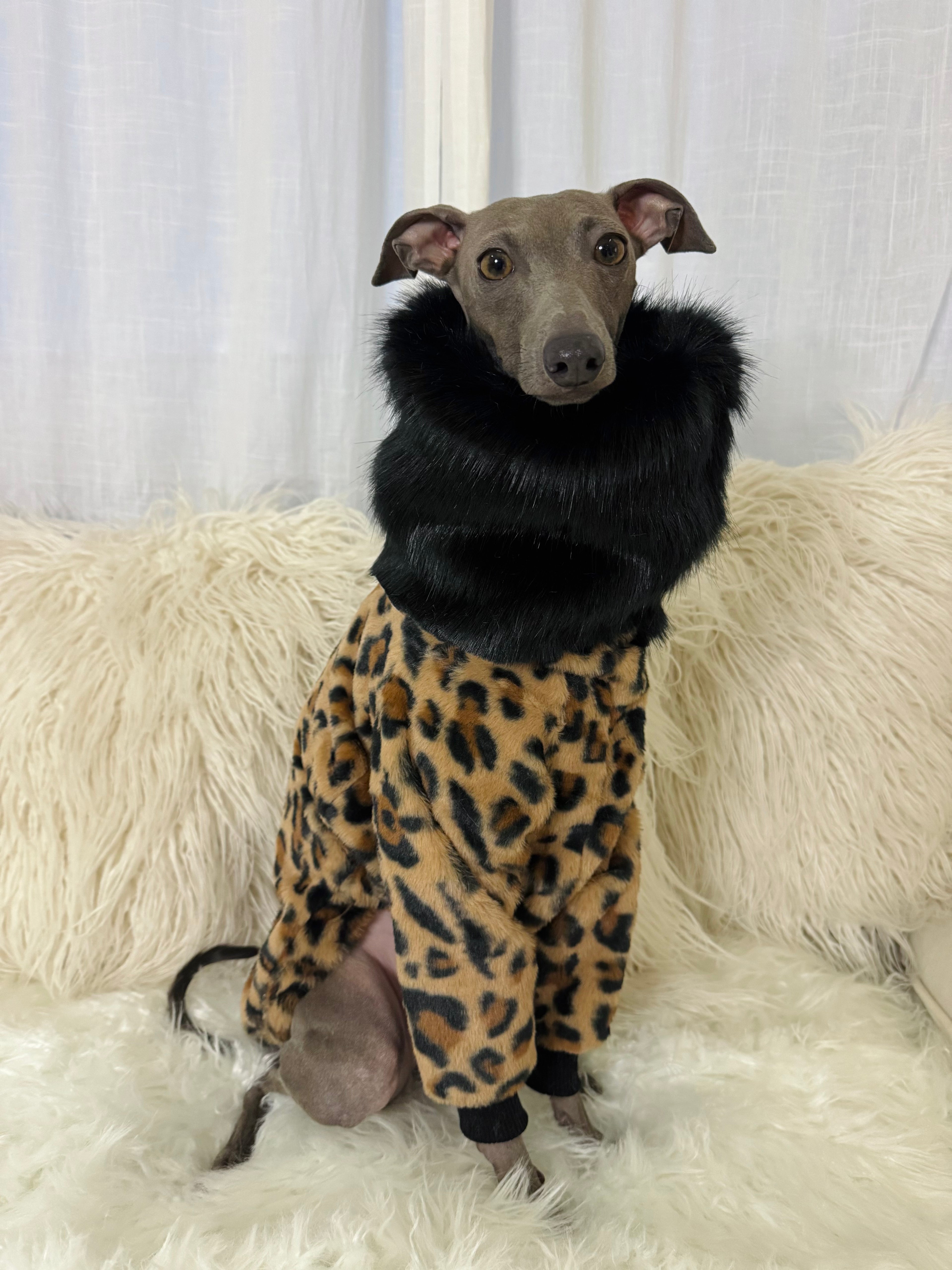 Leopard Print Sweater with Faux Fur Collar Black - Limited Edition