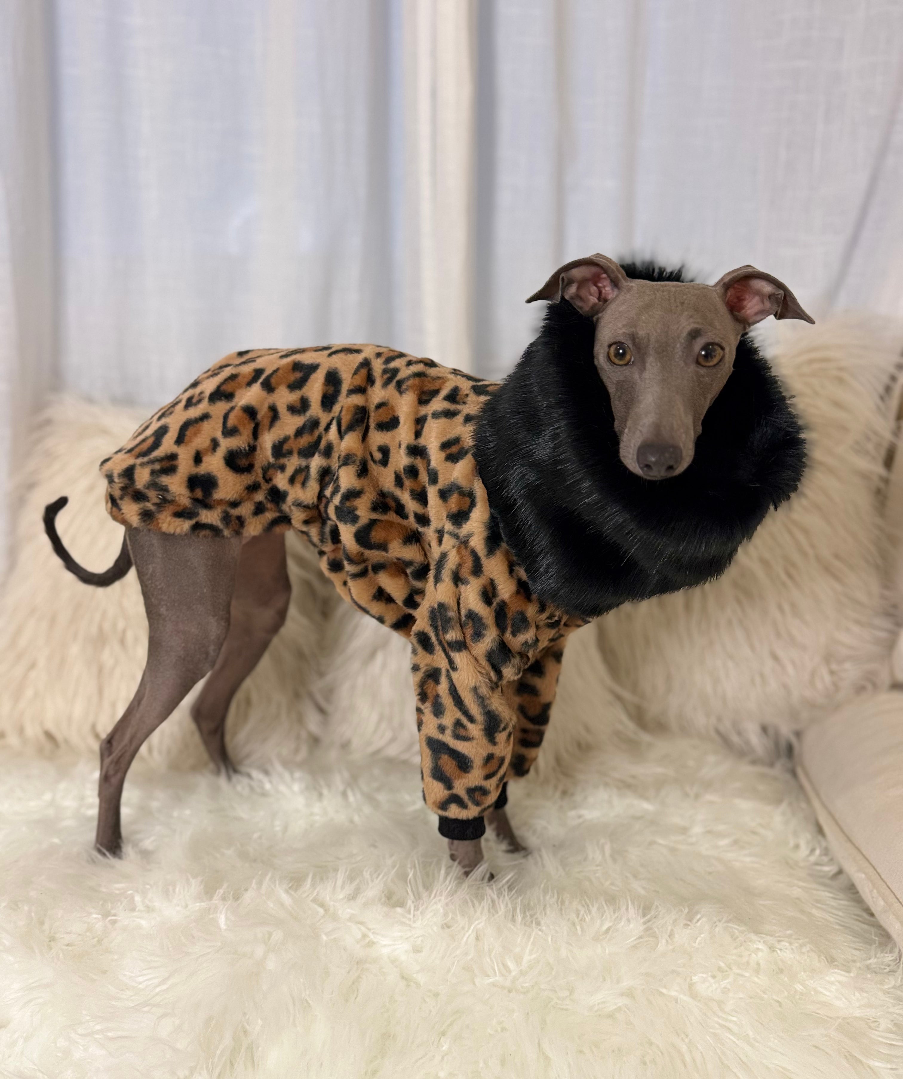 Leopard Print Sweater with Faux Fur Collar Black - Limited Edition