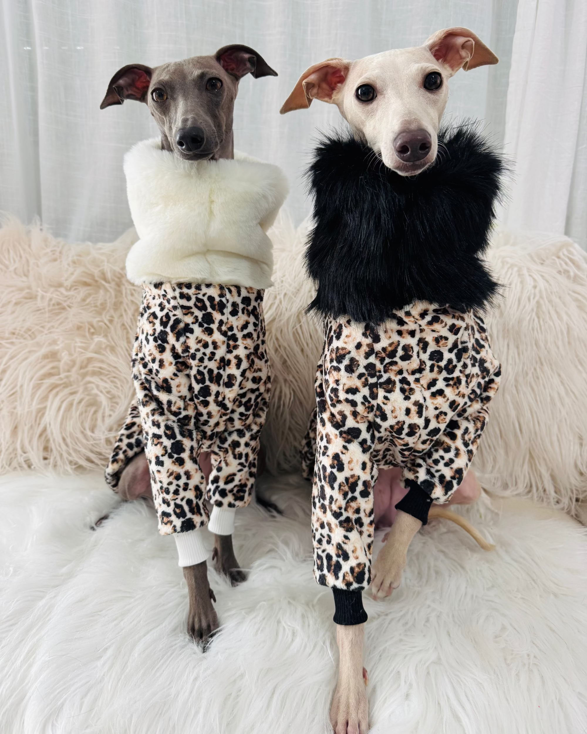 Leopard Print Sweater with Faux Fur Collar